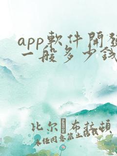 app软件开发一般多少钱