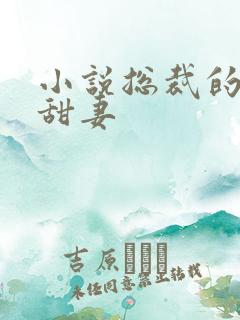 小说总裁的私宠甜妻