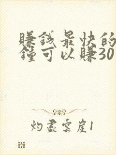 赚钱最快的一分钟可以赚30元