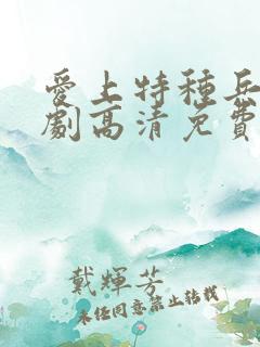 爱上特种兵电视剧高清免费观看