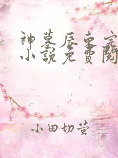 神墓辰东完整版小说免费阅读