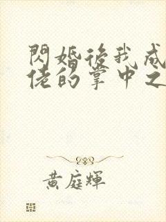 闪婚后我成了大佬的掌中之物 电视剧