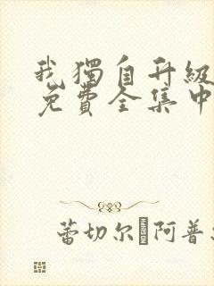 我独自升级动漫免费全集中文版