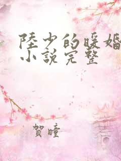 陆少的暖婚新妻小说完整