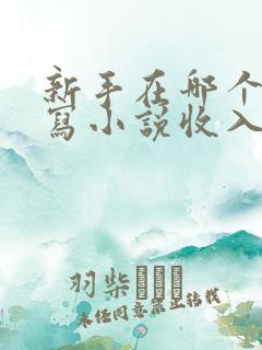 新手在哪个平台写小说收入高