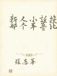 新人小说投稿到哪个平台比较好