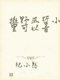 撒野巫哲小说那里可以看