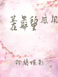 苹果的应用商店在哪里