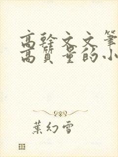高干文文笔好的高质量的小说现代言情