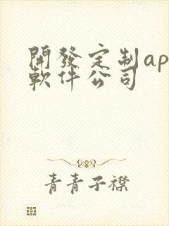 开发定制app软件公司