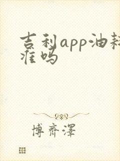 吉利app油耗准吗