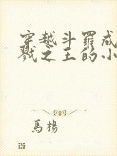穿越斗罗成为杀戮之王的小说