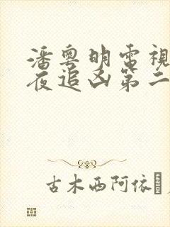 潘粤明电视剧白夜追凶第二季