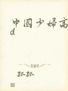 中国少妇高潮hd