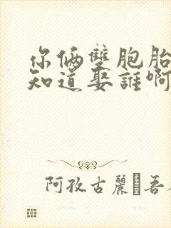 你俩双胞胎我哪知道娶谁啊小说免费阅读