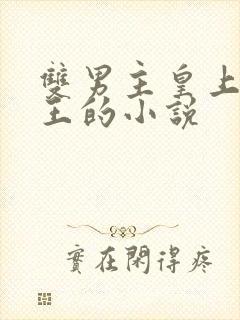 双男主皇上摄政王的小说
