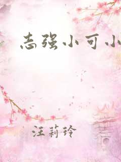 志强小可小说