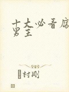 十大必看腐剧双男主