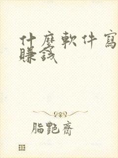 什么软件写小说赚钱