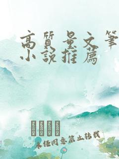 高质量文笔好的小说推荐