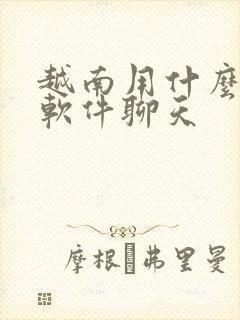 越南用什么交流软件聊天