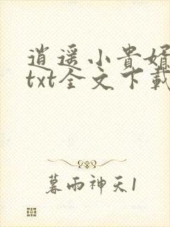 逍遥小贵婿小说txt全文下载