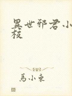 异世邪君小说精校