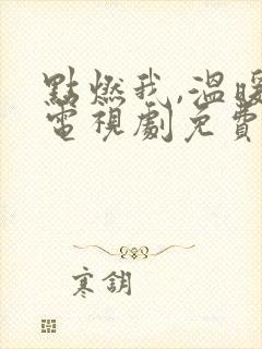 点燃我,温暖你电视剧免费观看软件