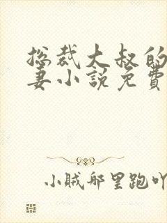 总裁大叔的小乖妻小说免费阅读