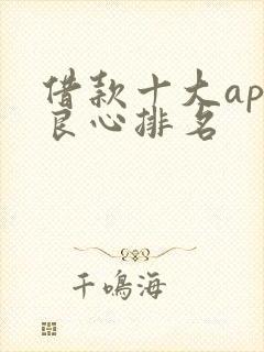借款十大app良心排名