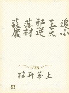苏落邪王追妻:废材逆天小姐