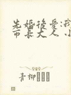 先婚后爱:我的市长大人 小说