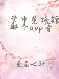 掌中万物短剧在哪个app看