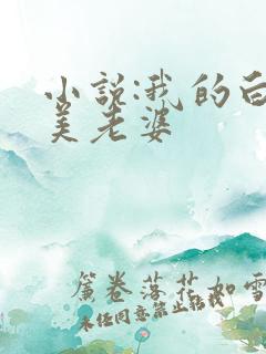 小说:我的白富美老婆