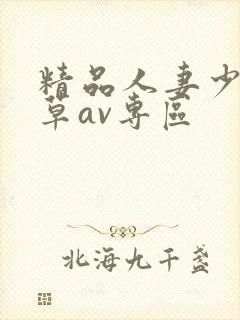 精品人妻少妇嫩草av专区