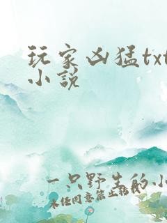 玩家凶猛txt小说