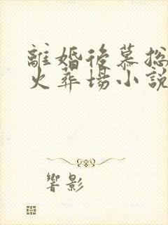 离婚后慕总追妻火葬场小说第一部