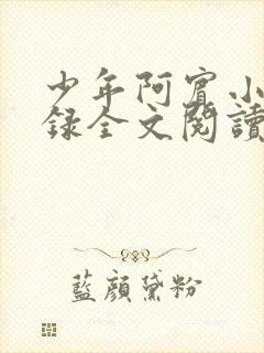 少年阿宾小说目录全文阅读无弹窗