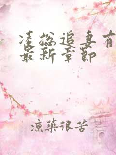 凌总追妻有点甜最新章节