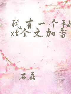 我有一个秘密txt全文加番外