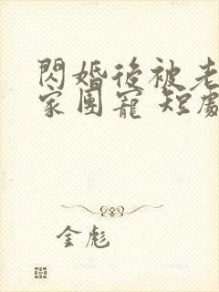闪婚后被老公全家团宠 短剧