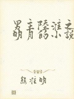 男主陆淮之女主明月的小说