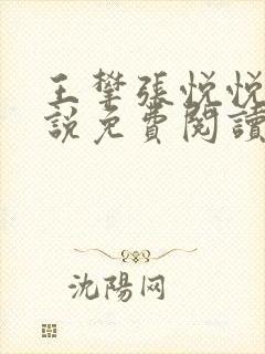 王攀张悦悦的小说免费阅读无弹窗