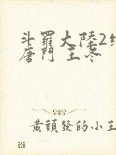 斗罗大陆2绝世唐门 王冬