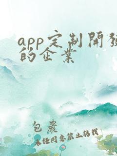 app定制开发的企业