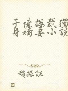 千亿总裁独宠替身娇妻小说完整版