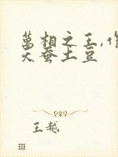 万相之王,作者天蚕土豆