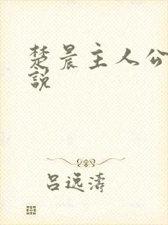楚晨主人公的小说