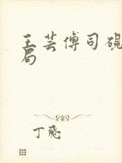 王芸傅司砚大结局