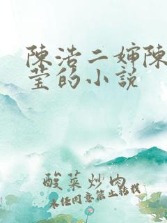 陈浩二婶陈丽陈莹的小说